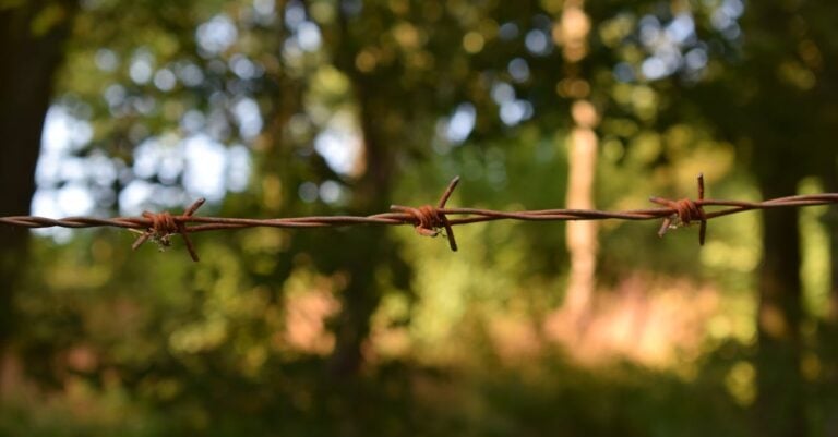 4 Best Fence Tension Springs for Wire Fencing That Prevent Sagging
