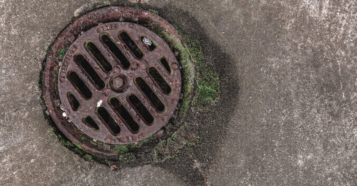 close up photo of a rusty drain grate with moss offering a textured urban look