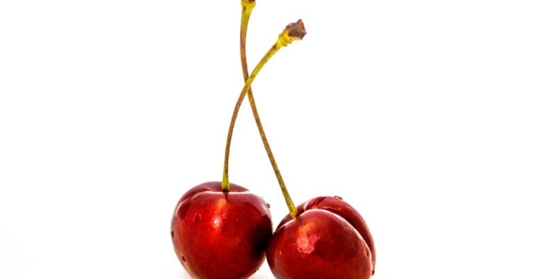 5 Best Cherry Pitters for Canning Cherries That Save Hours