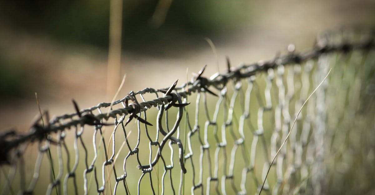 close up view of a barbed wire fence in a natural setting highlighting its intricate design