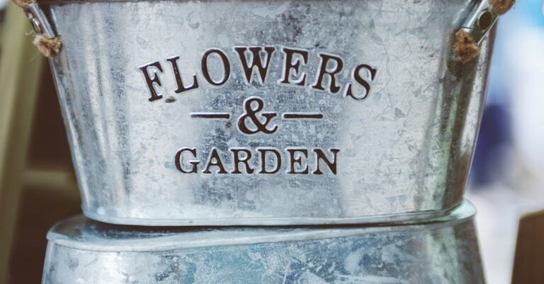 7 Best Galvanized Steel Watering Cans for Durability That Last Decades