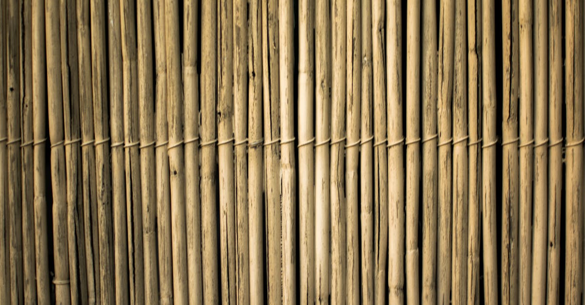 close up view of a textured bamboo fence offering a natural and rustic design element 1