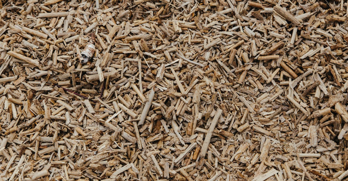 close up view of a textured surface of natural brown wood chips ideal for organic and environmental 1