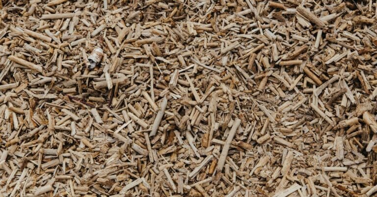 6 Best Recycled Wood Chips for Sustainable Gardening That Build Living Soil