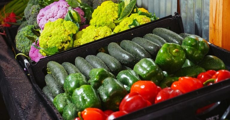 5 Best Rolling Bins for Transporting Harvested Produce on a Budget