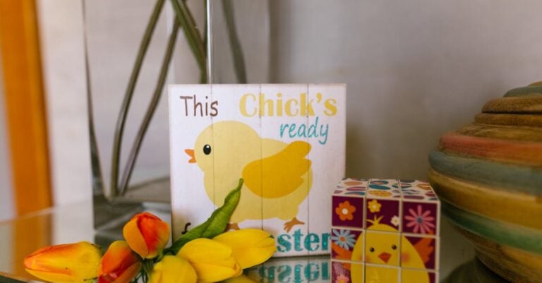 4 Best Brooder Chick Toys for Enrichment That Prevent Boredom