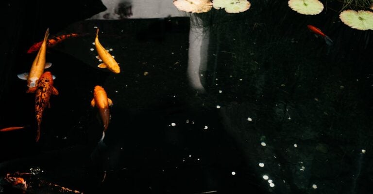 7 Best Pond Air Pumps for Koi Ponds in Summer That Prevent Fish Loss