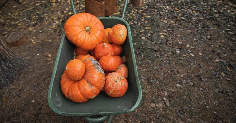 5 Best 4.10/3.50-4 Inner Tubes for Wheelbarrows That Last Years
