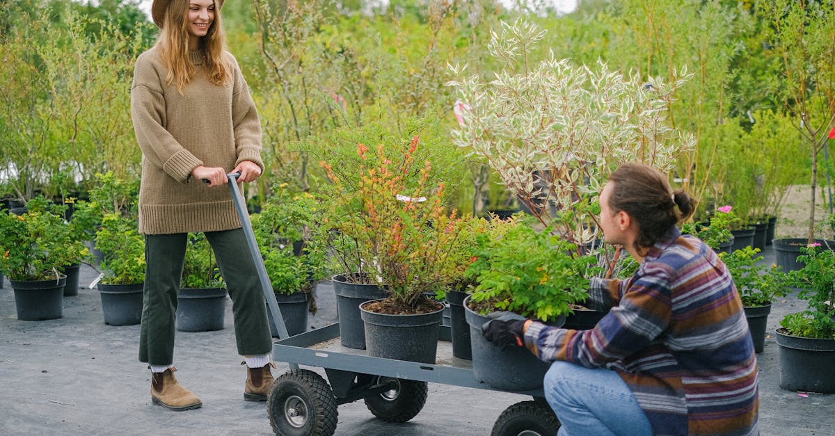 content gardeners wearing casual outfits placing lush verdant plants on wheelbarrow while working to