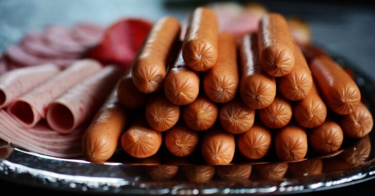 4 Best Meat Curing Thermometers for Making Salami That Prevent Spoilage