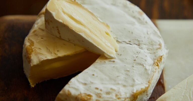 3 Best Dairy Goat Books for Beginners Cheesemaking That Build Skills