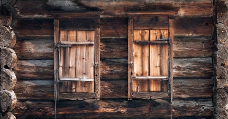 6 Best Hewing Axes for Log Cabin Construction That Old-Timers Trust