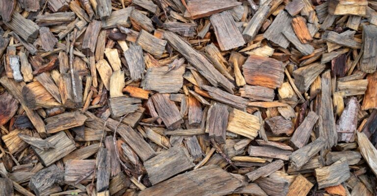 7 Best Shredded Hardwood Mulch for Erosion Control on Slopes That Work