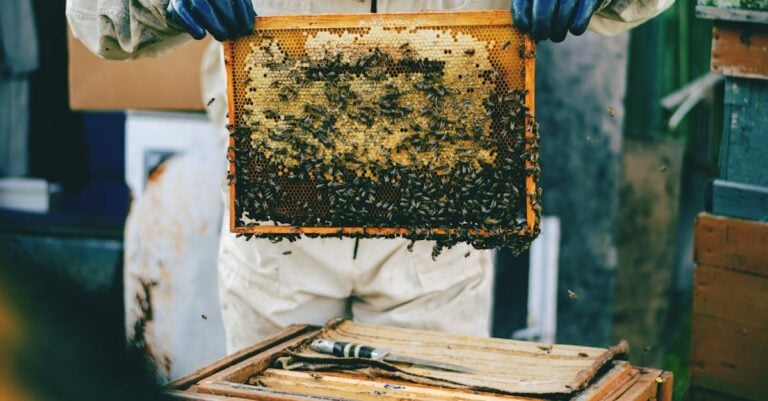 7 Best Flexible Gloves for Precise Beekeeping Tasks That Prevent Common Issues