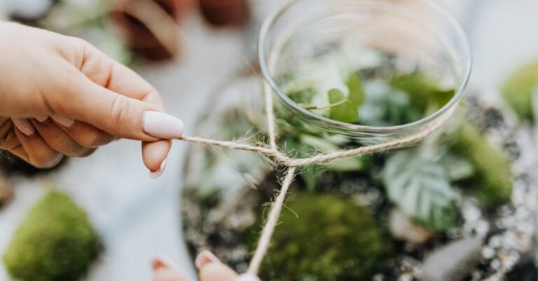 3 Best Peat Moss Alternatives for Sustainable Gardening That Old Farmers Trust