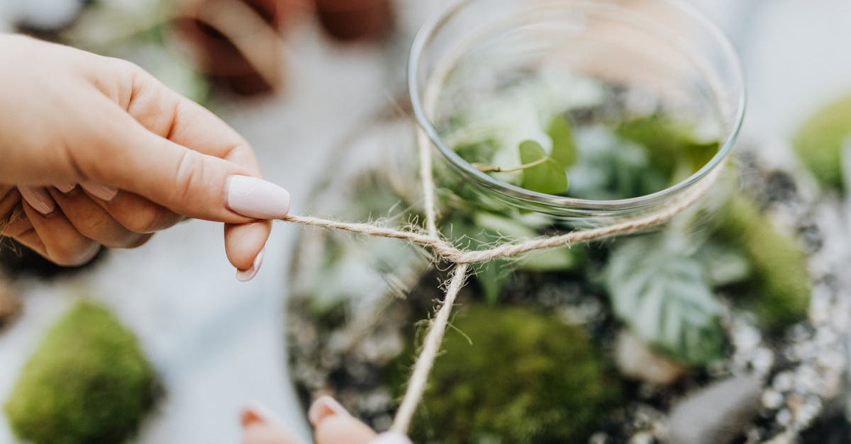 detailed view of hands tying jute rope around a glass terrarium with green plants