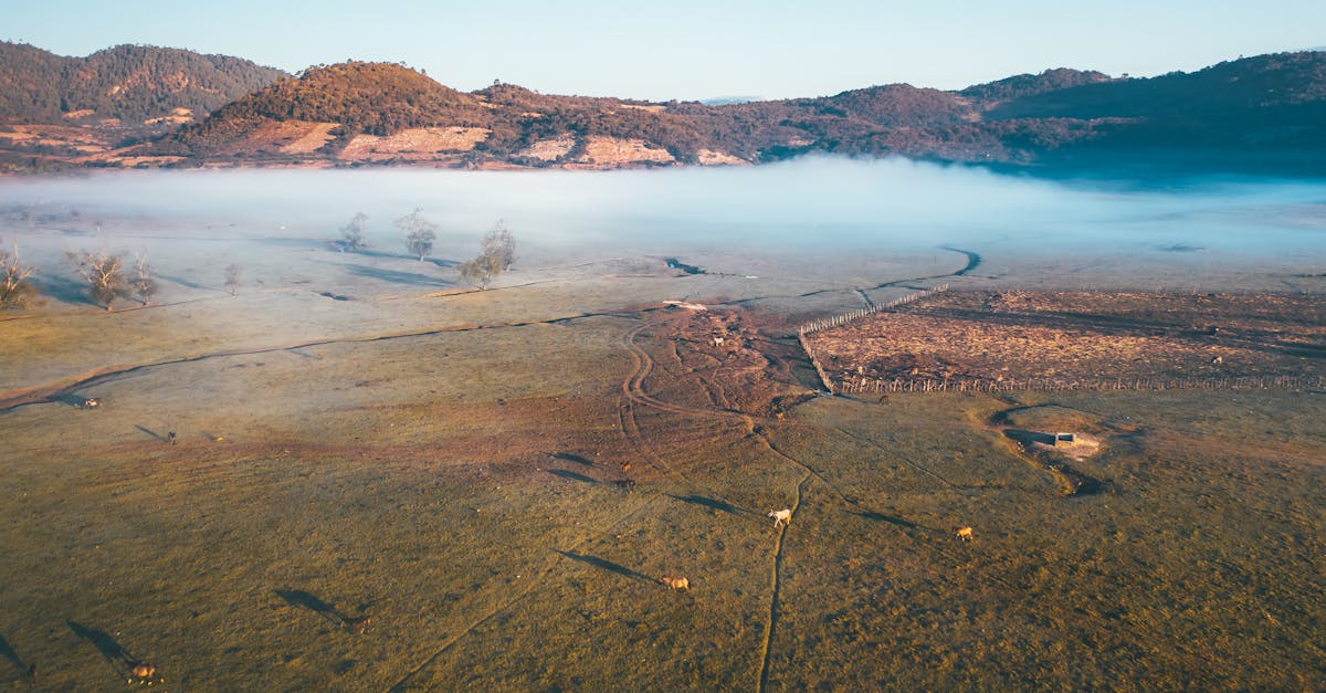 discover the serene beauty of mist covered farmland framed by distant mountains at sunrise 2