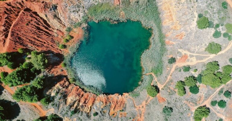 5 Best Marginal Pond Plants for Erosion Control Without Chemicals
