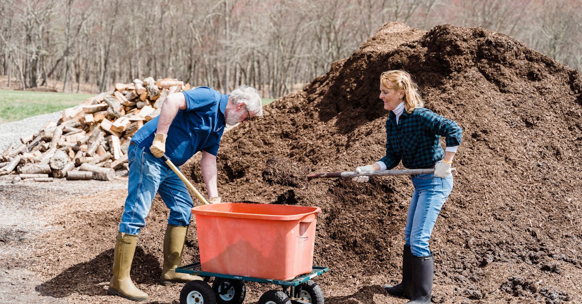 elderly couple shoveling soil into a trolley during spring gardening outdoors 1