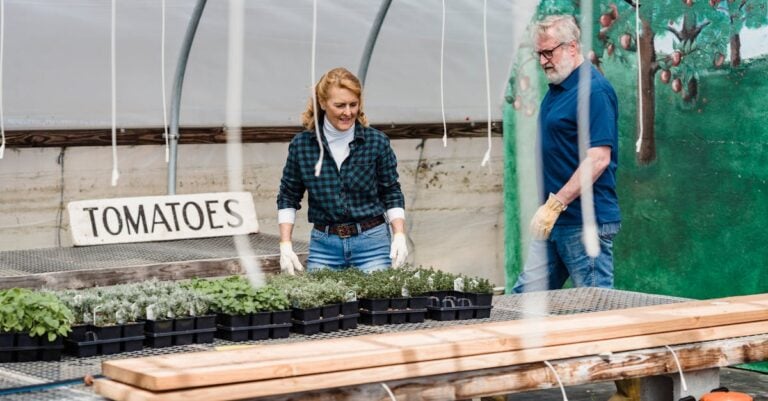 7 Best Greenhouse Heat Mats for Tomato Seedlings That Prevent Damping-Off