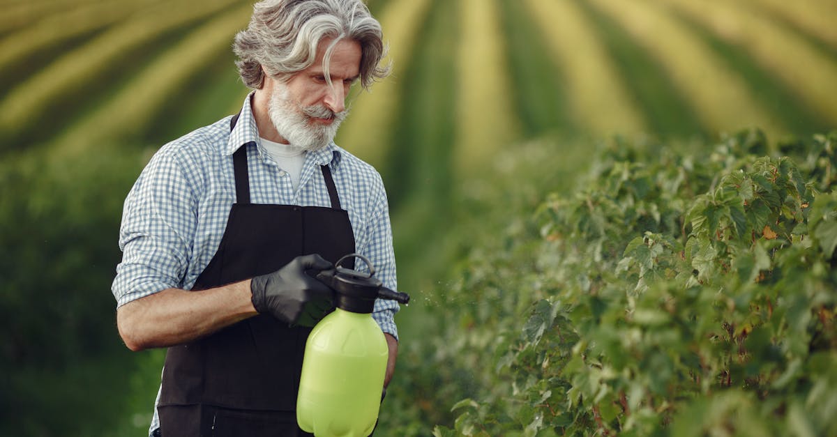 elderly man gardening in orchard inspecting crops with sprayer 2