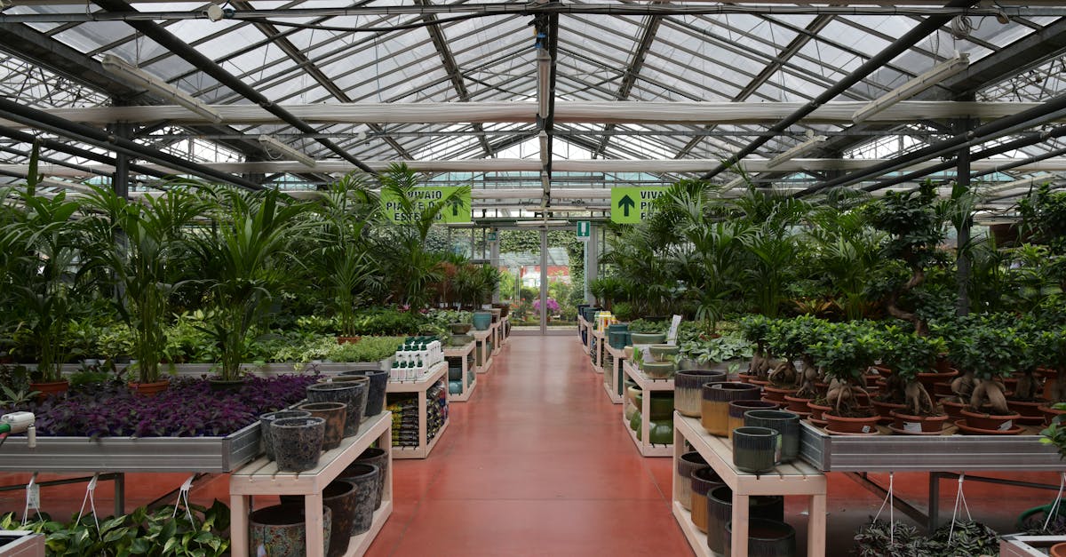 explore a vibrant greenhouse filled with diverse plants and pots in rizza veneto italy