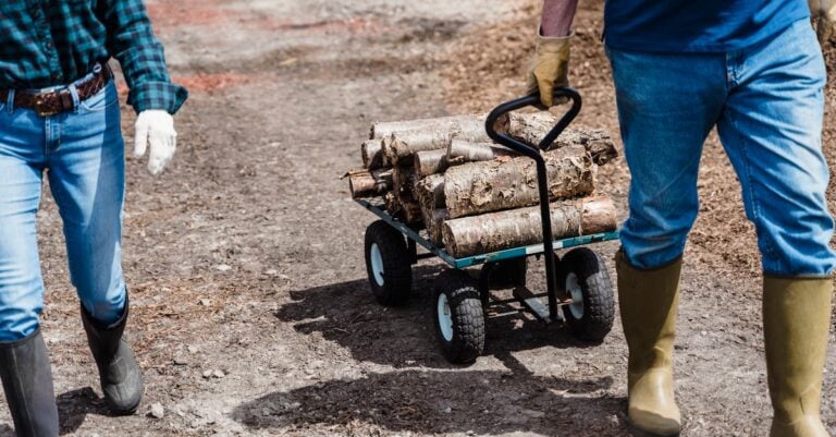 4 Best Log Splitters Under 500 for Budget Conscious Farmers That Pay for Themselves