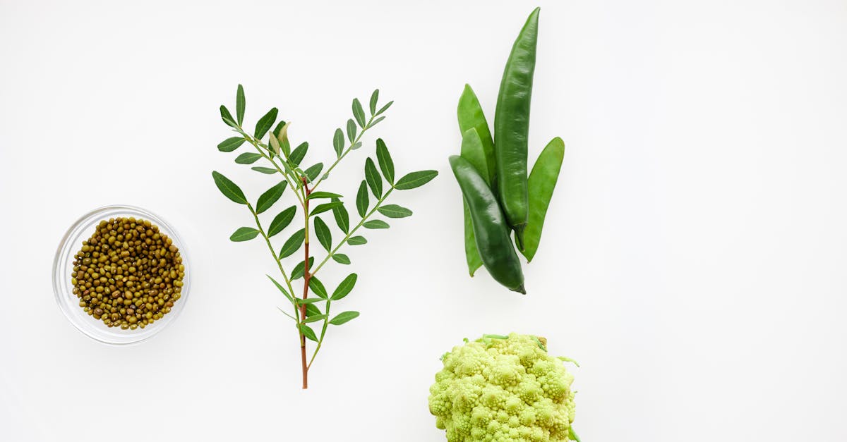 flat lay of seeds green vegetables and leafy branch on a white background perfect for organic coo
