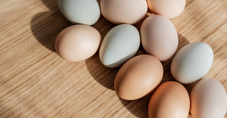 7 Best Outdoor Griddles for Farm Fresh Breakfasts That Support Self-Sufficiency