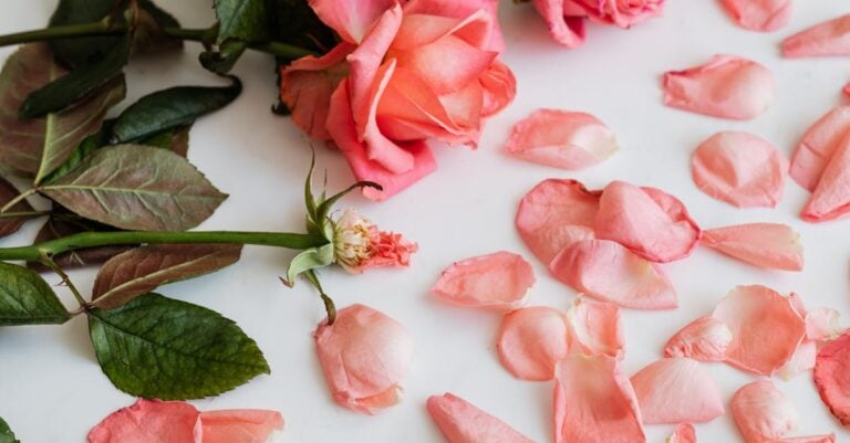 3 Best Climbing Roses for Cut Flower Gardens That Bloom All Season