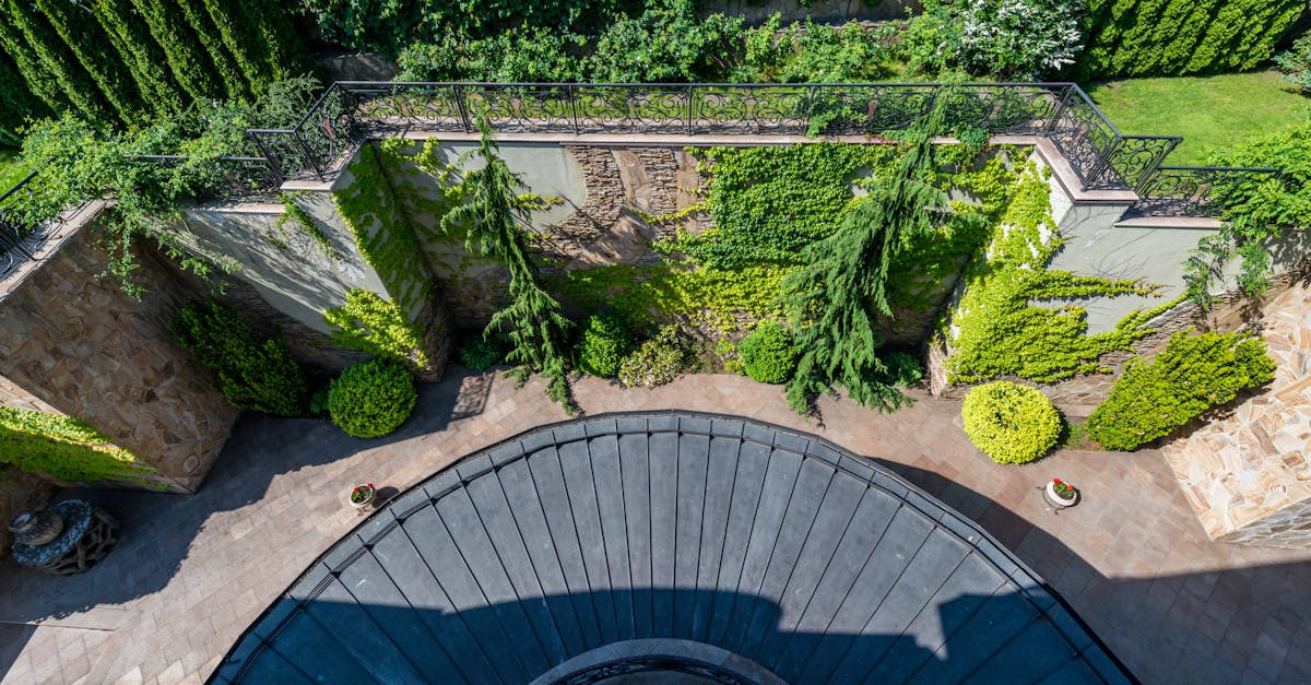 from above of fresh verdant plants decorating huge concrete fence surrounded with trees and lawn