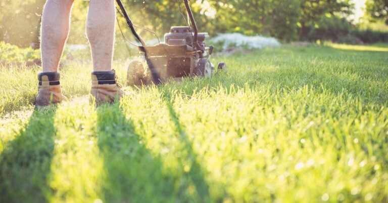 7 Best Rated Work Shoes for Overall Farm Use That Last Seasons