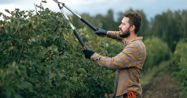 6 Best Electric Pole Saws for Hobby Farm Maintenance That Cut Costs