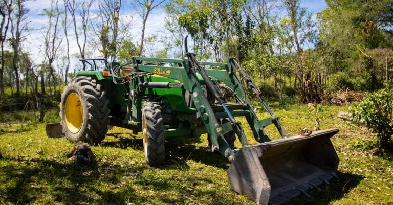 5 Best Heavy Duty Bibs for Brush Clearing That Old Farmers Trust