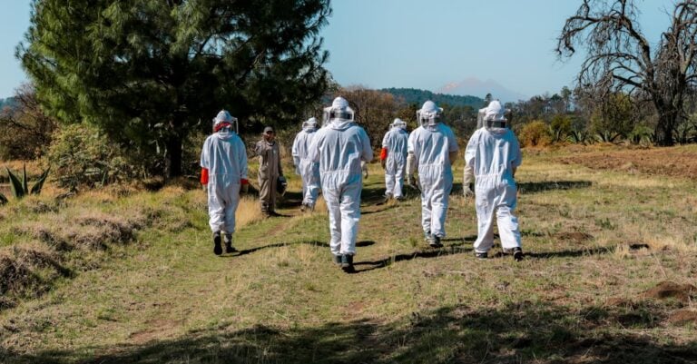 5 Best Budget Bee Suits for Starting Beekeeping That Protect Beginners