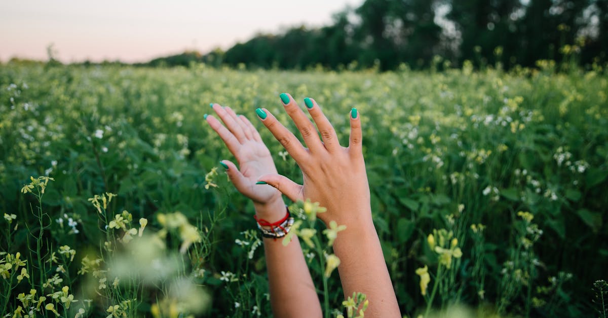 hands with colorful nails raised in a lush green meadow on a sunny day