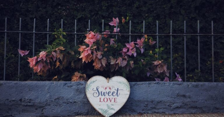 7 Best Painted Trellises for Adding Color to Gardens That Transform Small Spaces