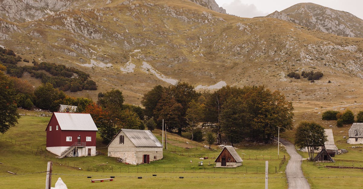idyllic countryside scene with rustic cabins and scenic hillside view