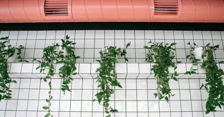 4 Best PVC Pipe Clamps for Securing Irrigation Lines That Prevent Common Issues