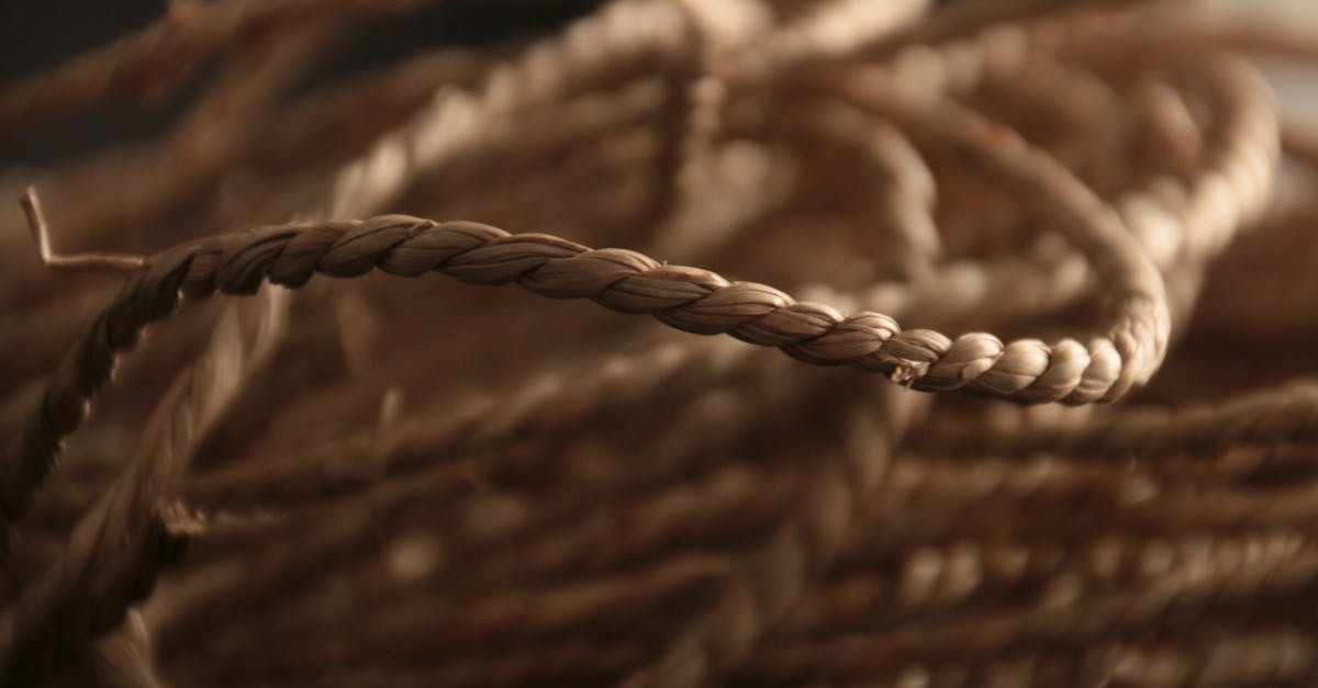 intricate close up showcasing the texture and patterns of braided rope