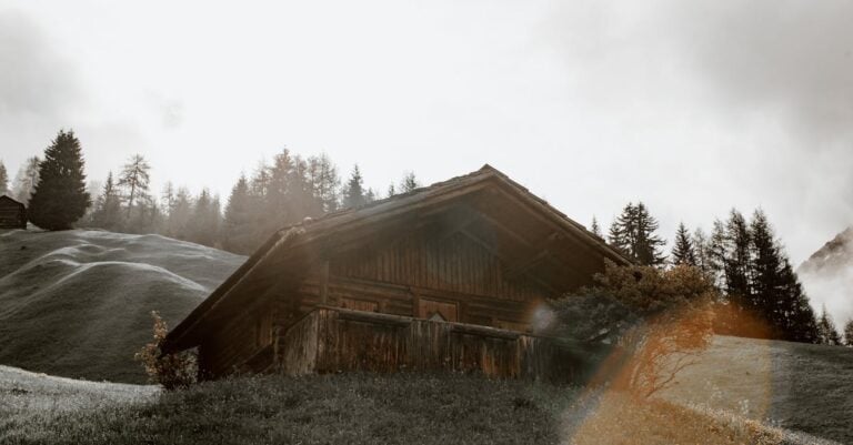 4 Best Bear Deterrent Sprays for Small Farms Near Woods That Work