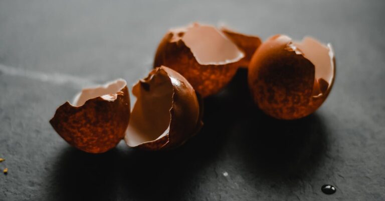 3 Best Oyster Shell Supplement for Strong Eggshells That Prevent Cracking