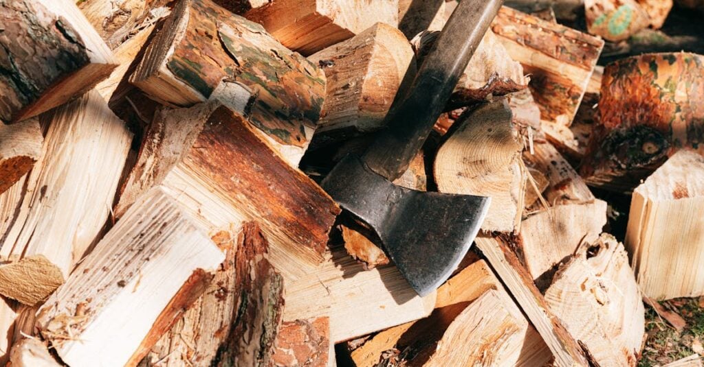 old rustic axe with wooden handle and sharp cutting point placed on firewoods in forest on sunny sum 1