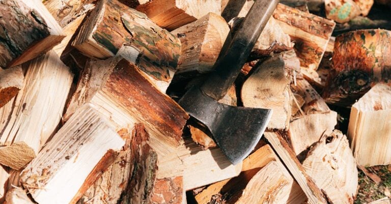 3 Best ATV Tires for Hauling Firewood That Old Farmers Trust