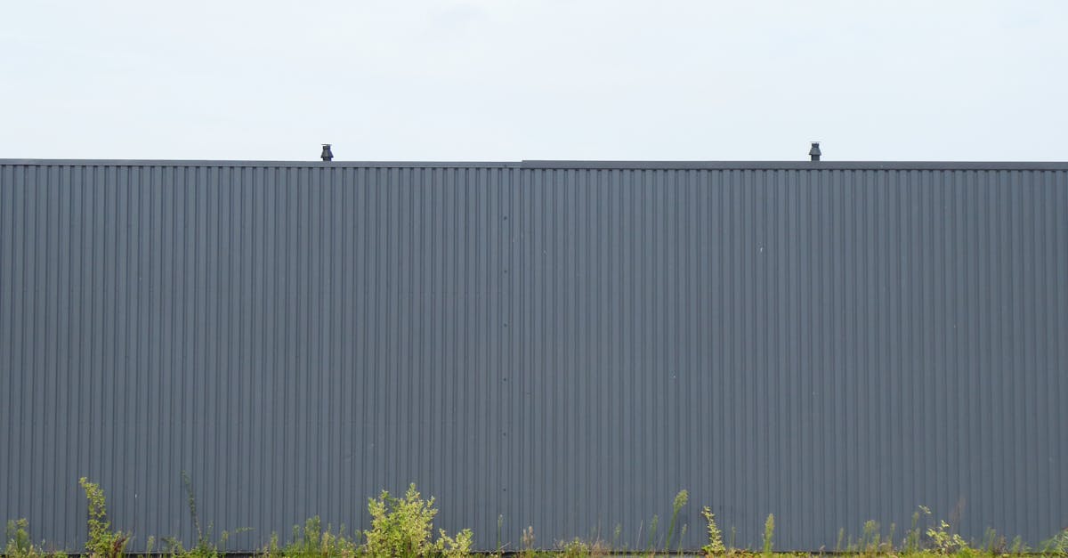outdoor view of a gray corrugated metal fence with wild vegetation at its base