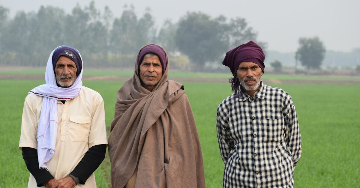 portrait of three senior indian farmers in traditional attire standing in a green field kanpur ind 3