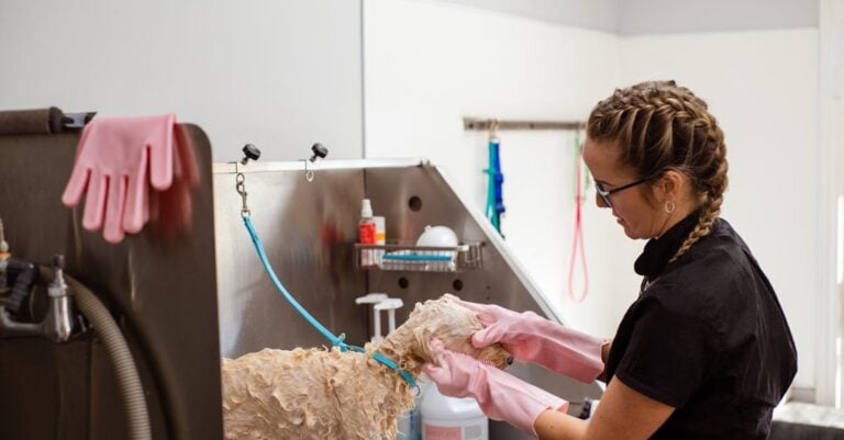 4 Best Rubber Gloves for Cleaning Animal Pens That Prevent Injury