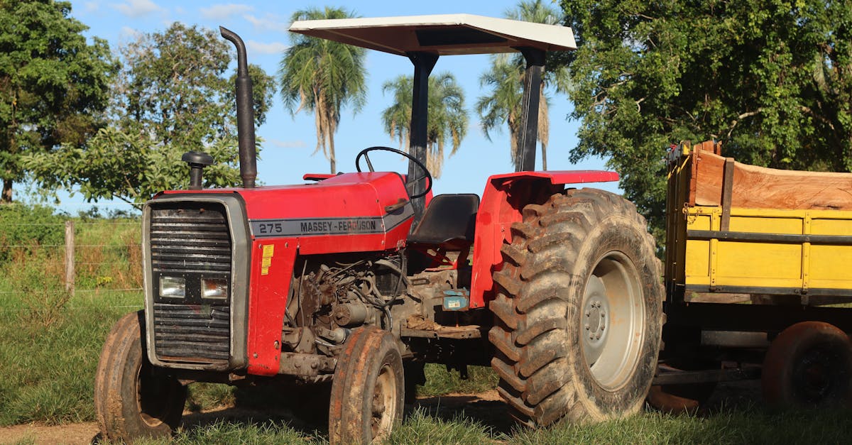 red massey ferguson tractor with trailer on a sunny day in the countryside