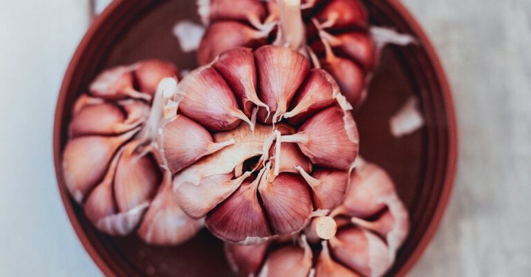 4 Best Garlic Bulbs for Fall Planting That Survive Harsh Winters