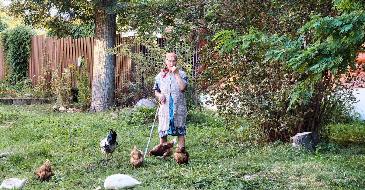 senior woman with chickens in a lush garden setting surrounded by greenery during the day